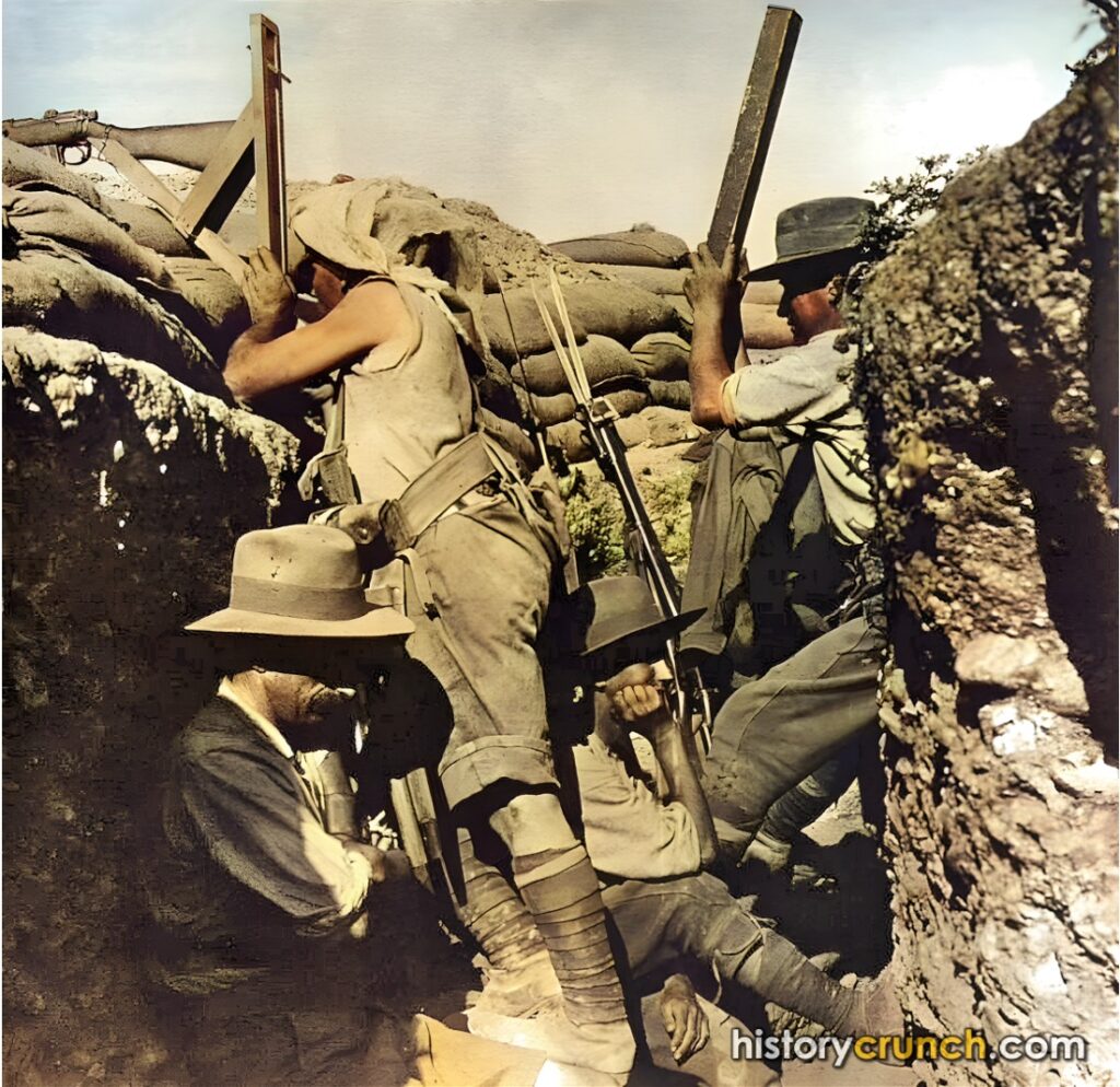 Gallipoli WW1