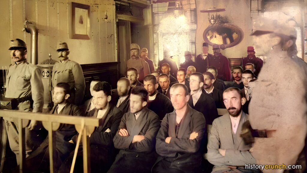 Gavrilo Princip World War I