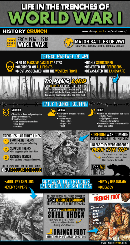 Life in the Trenches of World War I Infographic