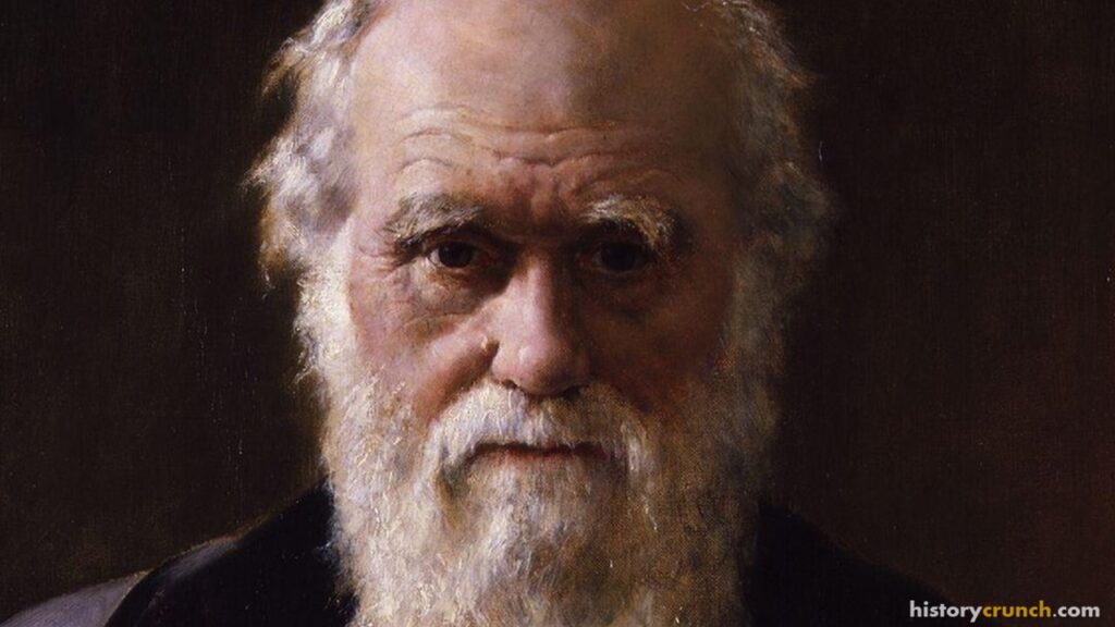 Social Darwinism