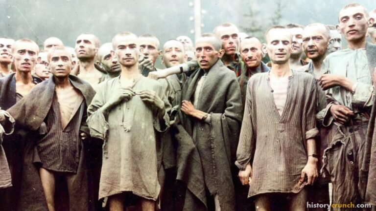 Muselmanner Mein Kampf: A Detailed Summary - History Crunch