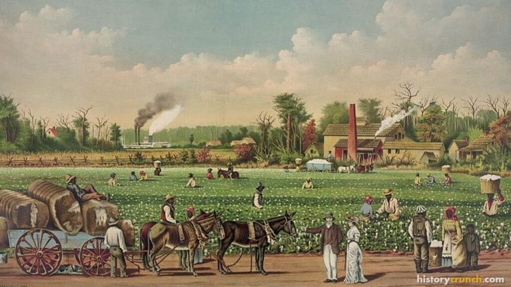 Slave Plantations in the United States