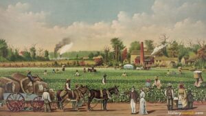Slave Plantations in the United States