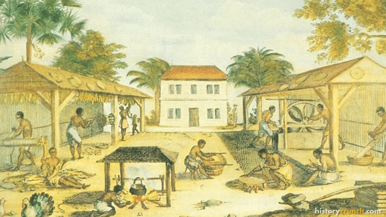 Slaves on a tobacco plantation in Virginia from the 17th century.