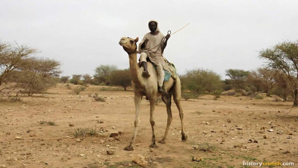 Darfur Genocide Janjaweed