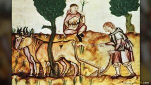 Life of a Medieval Peasant